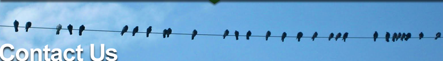Contact Us